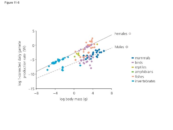 Figure 11 -6 