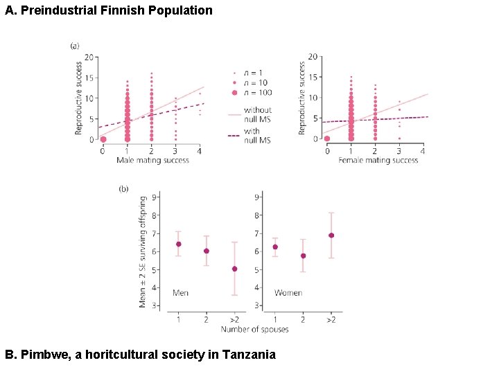 A. Preindustrial Finnish Population B. Pimbwe, a horitcultural society in Tanzania 
