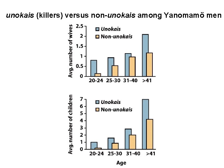unokais (killers) versus non-unokais among Yanomamö men 