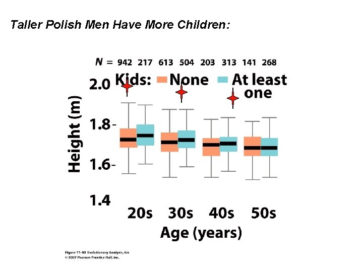 Taller Polish Men Have More Children: 