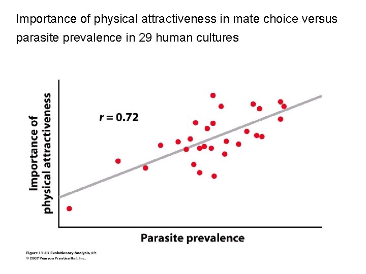 Importance of physical attractiveness in mate choice versus parasite prevalence in 29 human cultures