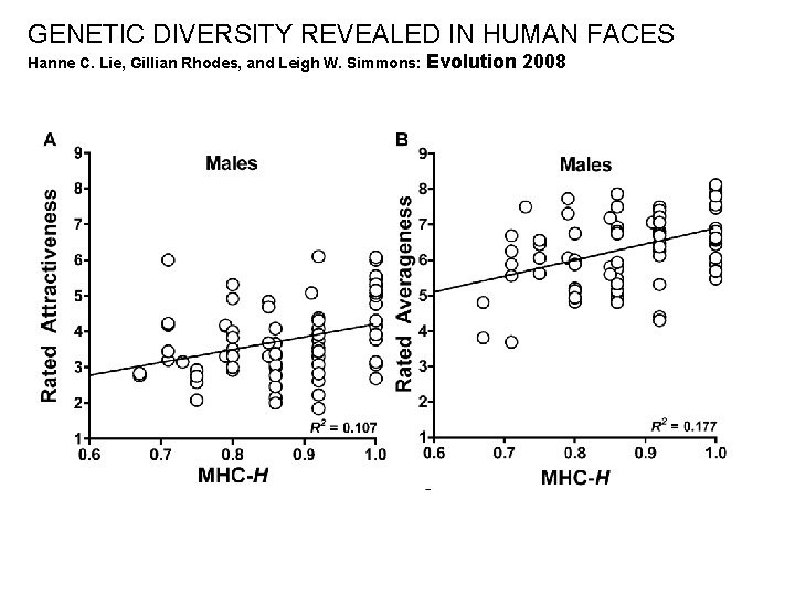 GENETIC DIVERSITY REVEALED IN HUMAN FACES Hanne C. Lie, Gillian Rhodes, and Leigh W.
