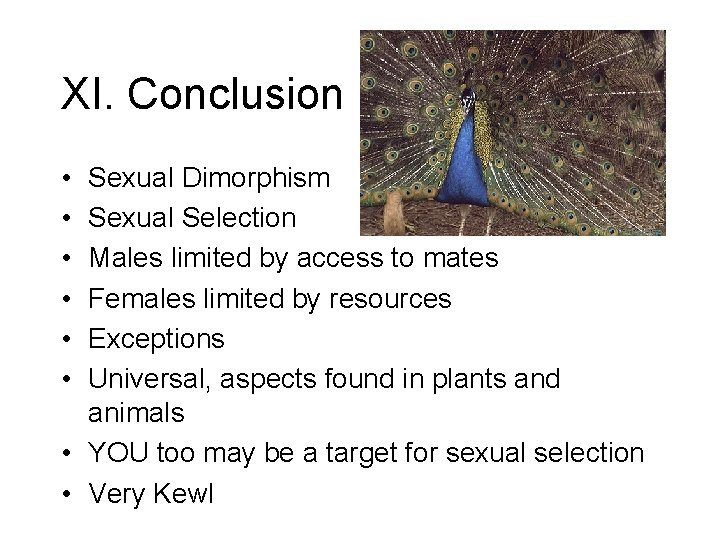 XI. Conclusion • • • Sexual Dimorphism Sexual Selection Males limited by access to
