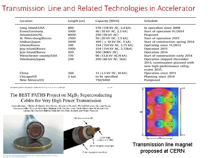 Transmission Line and Related Technologies in Accelerator Transmission line magnet proposed at CERN 