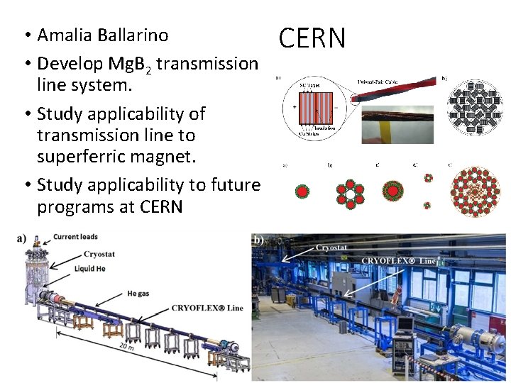  • Amalia Ballarino • Develop Mg. B 2 transmission line system. • Study