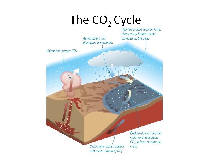 The CO 2 Cycle 