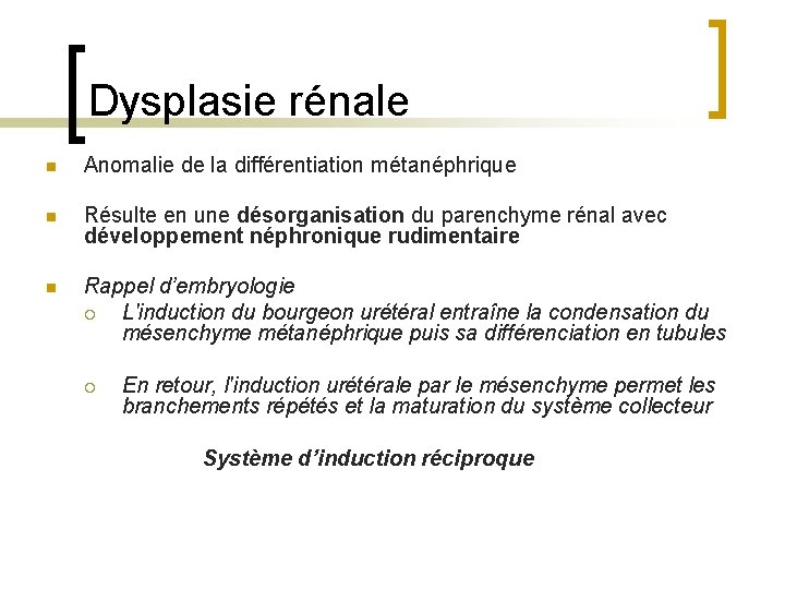 Dysplasie rénale n Anomalie de la différentiation métanéphrique n Résulte en une désorganisation du