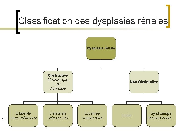 Classification des dysplasies rénales Dysplasie rénale Obstructive Multikystique ou Aplasique Bilatérale Ex: Valve urètre