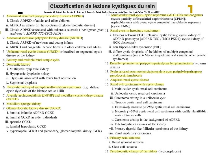 Classification de lésions kystiques du rein Bisceglia M, Galliani CA, Senger C, Stallone C,
