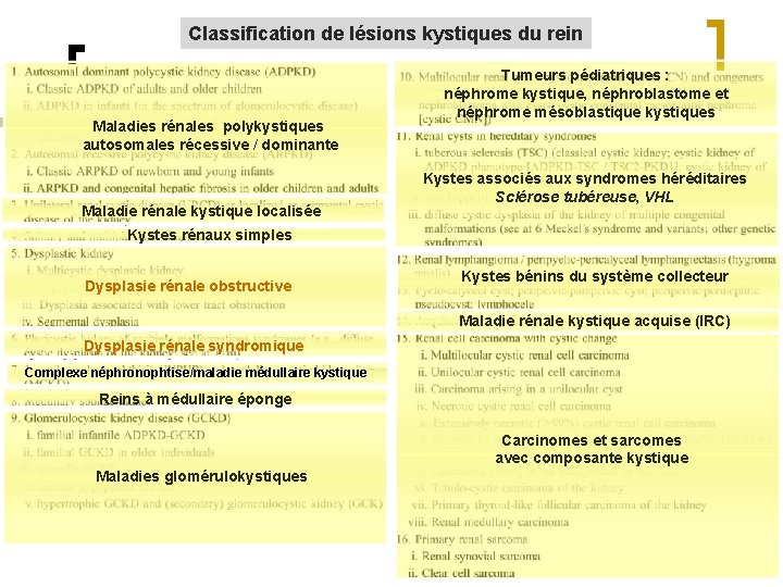 Classification de lésions kystiques du rein Maladies rénales polykystiques autosomales récessive / dominante Maladie