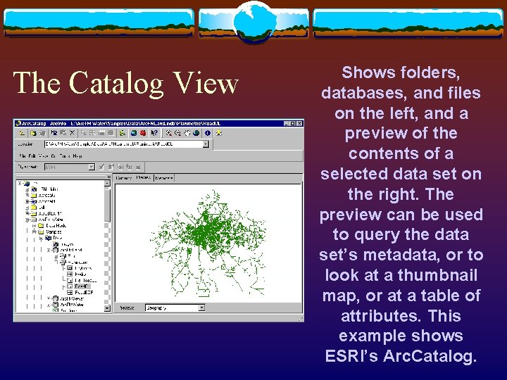 The Catalog View Shows folders, databases, and files on the left, and a preview