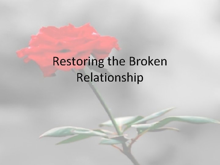 Restoring the Broken Relationship 