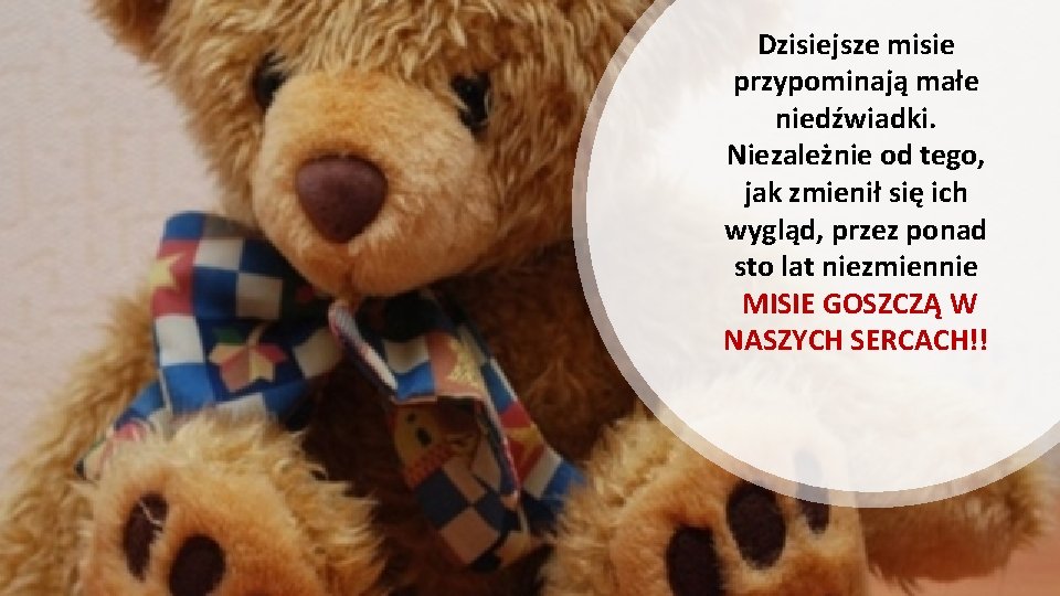 Dzisiejsze misie przypominają małe niedźwiadki. Niezależnie od tego, jak zmienił się ich wygląd, przez