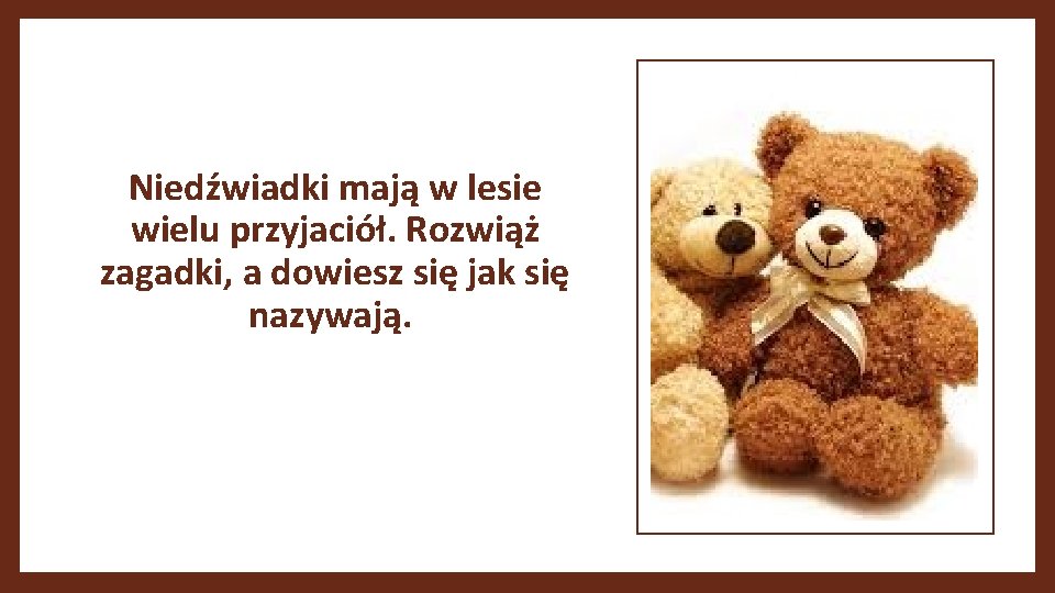Niedźwiadki mają w lesie wielu przyjaciół. Rozwiąż zagadki, a dowiesz się jak się nazywają.