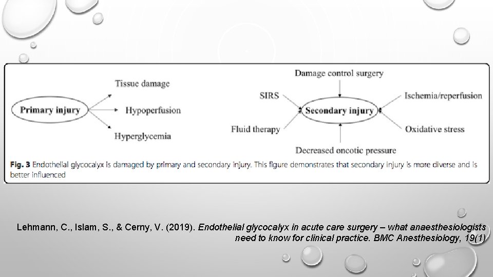 Lehmann, C. , Islam, S. , & Cerny, V. (2019). Endothelial glycocalyx in acute