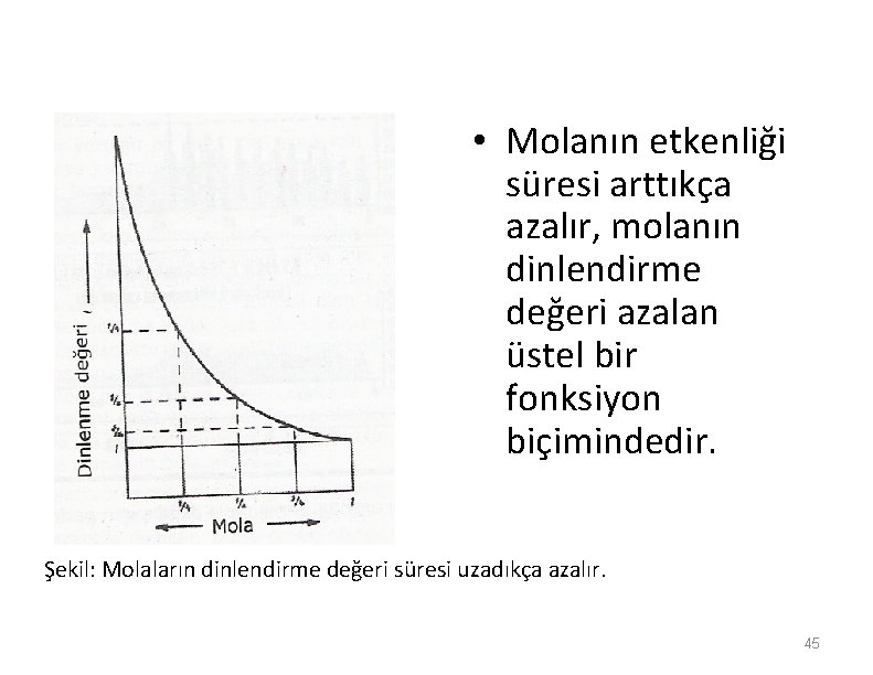  • Molanın etkenliği süresi arttıkça azalır, molanın dinlendirme değeri azalan üstel bir fonksiyon