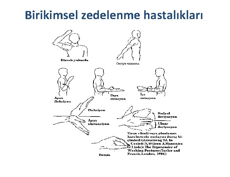 Birikimsel zedelenme hastalıkları 