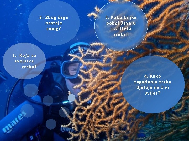 2. Zbog čega nastaje smog? 3. Kako biljke poboljšavaju kvalitetu zraka? 1. Koja su