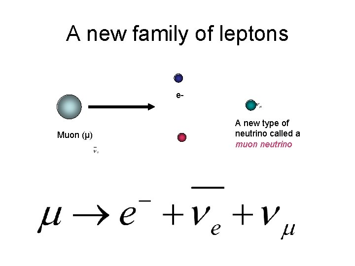 More Leptons The Leptons E The Leptons We