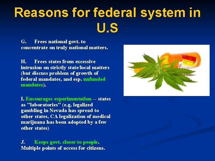 Reasons for federal system in U. S G. Frees national govt. to concentrate on