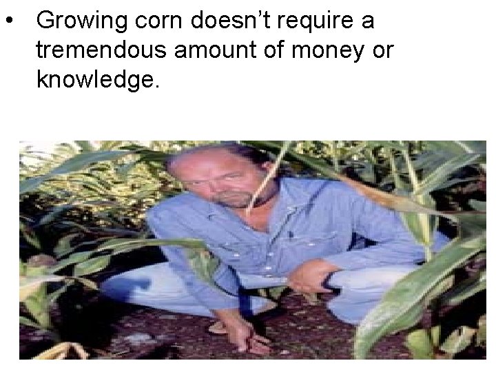 • Growing corn doesn’t require a tremendous amount of money or knowledge. • Growing corn doesn’t require a tremendous amount of money or knowledge.