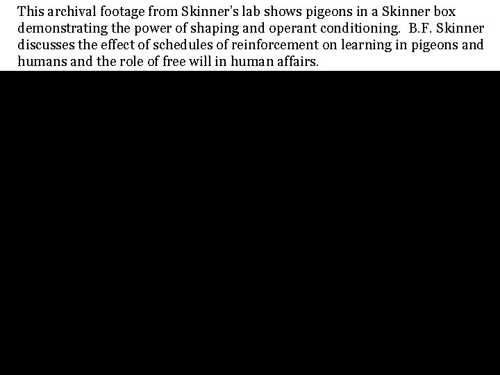 This archival footage from Skinner’s lab shows pigeons in a Skinner box demonstrating the