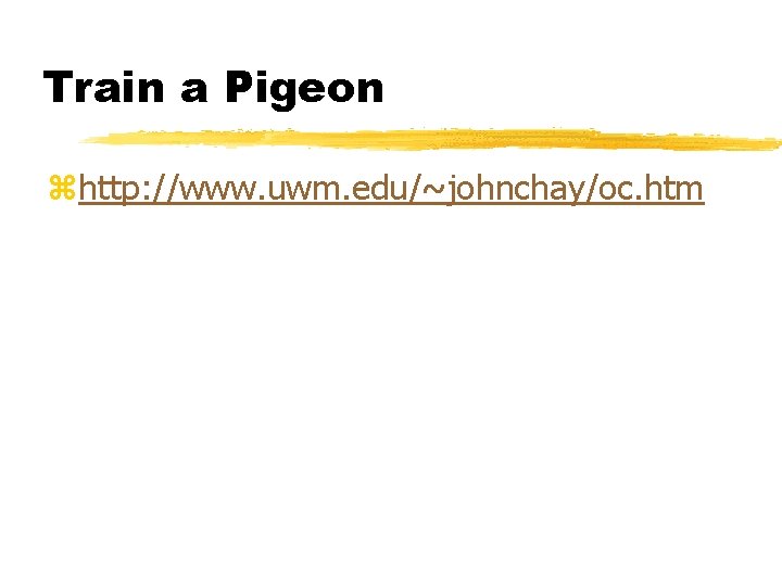 Train a Pigeon zhttp: //www. uwm. edu/~johnchay/oc. htm 