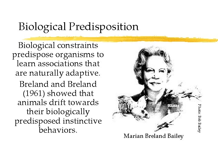 Biological Predisposition Marian Breland Bailey Photo: Bob Bailey Biological constraints predispose organisms to learn