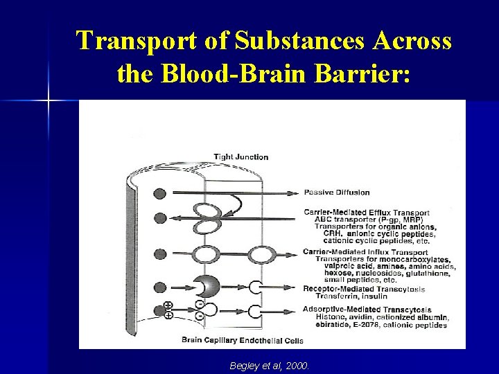 Transport of Substances Across the Blood-Brain Barrier: Begley et al, 2000. 