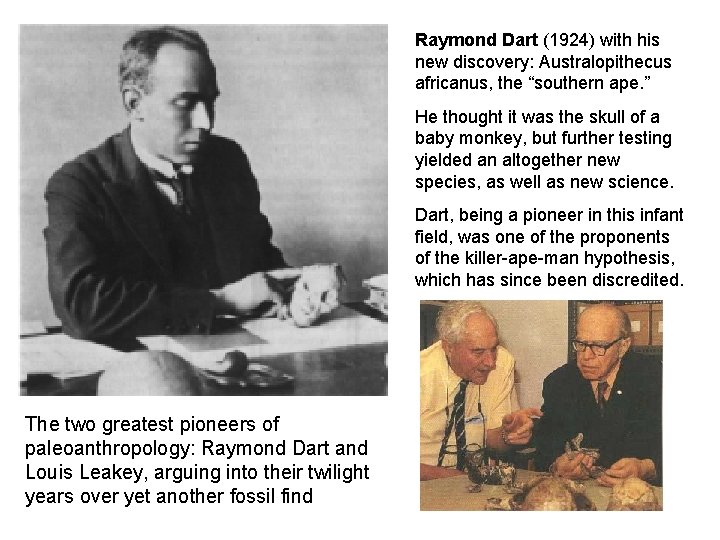 Raymond Dart (1924) with his new discovery: Australopithecus africanus, the “southern ape. ” He