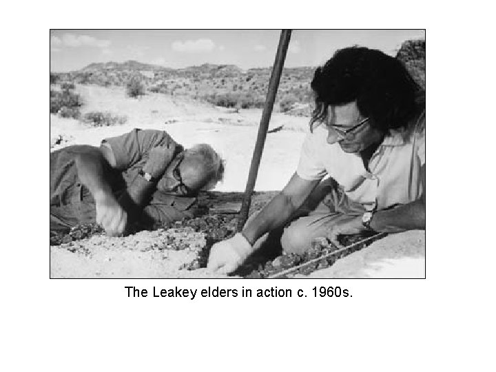 The Leakey elders in action c. 1960 s. 