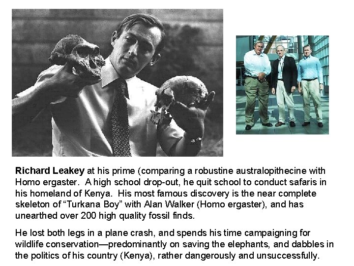 Richard Leakey at his prime (comparing a robustine australopithecine with Homo ergaster. A high