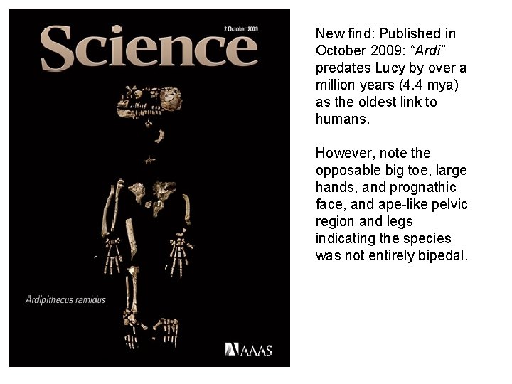 New find: Published in October 2009: “Ardi” predates Lucy by over a million years