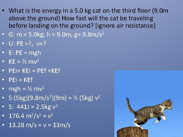  • What is the energy in a 5. 0 kg cat on the