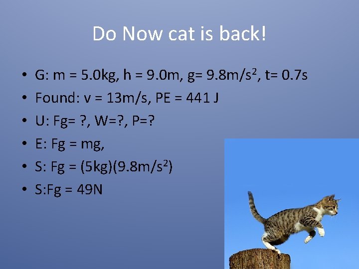 Do Now cat is back! • • • G: m = 5. 0 kg,