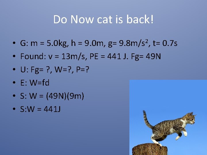 Do Now cat is back! • • • G: m = 5. 0 kg,