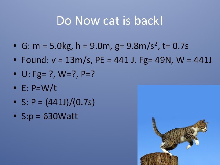 Do Now cat is back! • • • G: m = 5. 0 kg,