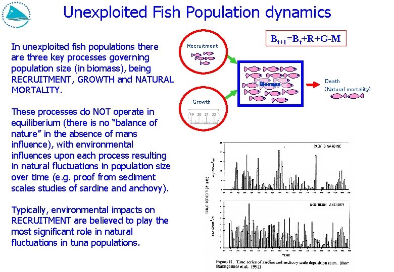 Unexploited Fish Population dynamics In unexploited fish populations there are three key processes governing