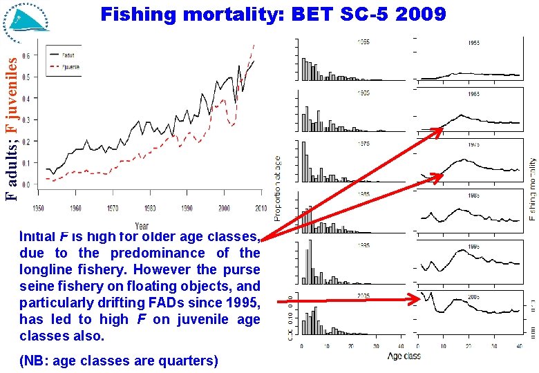 F adults; F juveniles Fishing mortality: BET SC-5 2009 Initial F is high for