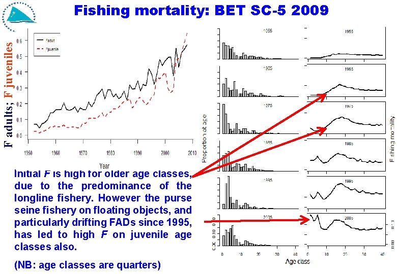 F adults; F juveniles Fishing mortality: BET SC-5 2009 Initial F is high for