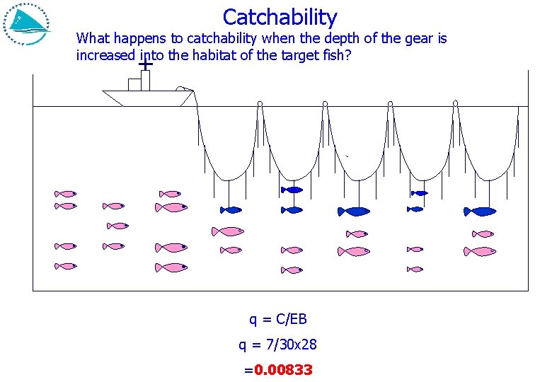 Catchability What happens to catchability when the depth of the gear is increased into