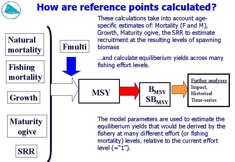 How are reference points calculated? Natural mortality Fishing mortality Growth Maturity ogive SRR Fmulti
