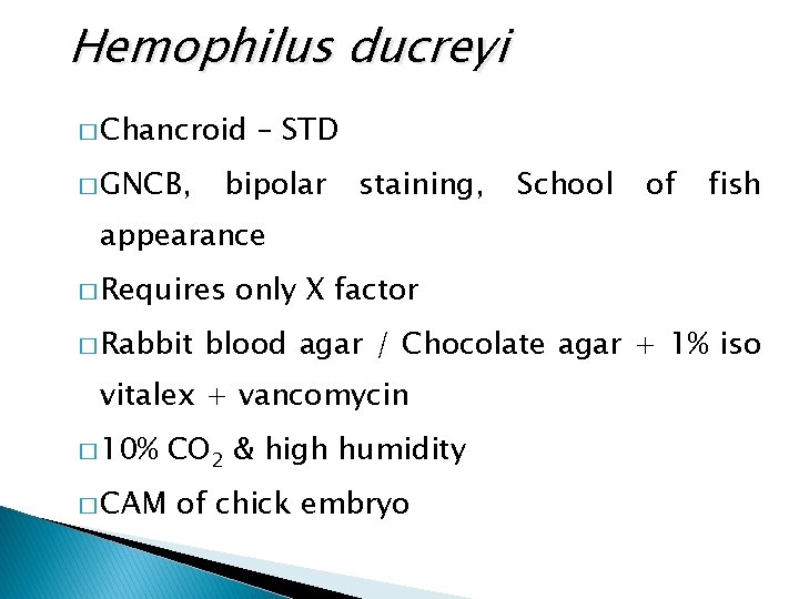Hemophilus ducreyi � Chancroid � GNCB, – STD bipolar staining, School of fish appearance