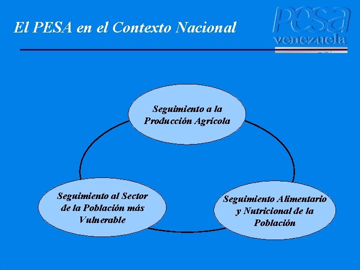 El PESA en el Contexto Nacional Seguimiento a la Producción Agrícola Seguimiento al Sector