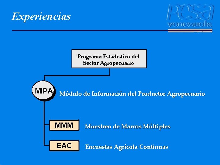 Experiencias Programa Estadístico del Sector Agropecuario MIPA Módulo de Información del Productor Agropecuario MMM