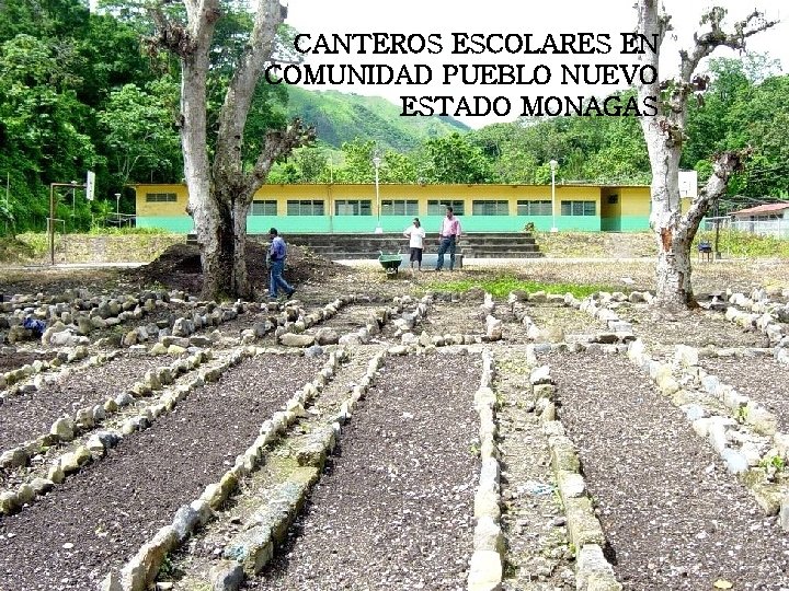 CANTEROS ESCOLARES EN COMUNIDAD PUEBLO NUEVO ESTADO MONAGAS 