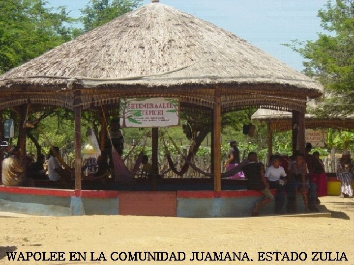 WAPOLEE EN LA COMUNIDAD JUAMANA. ESTADO ZULIA 