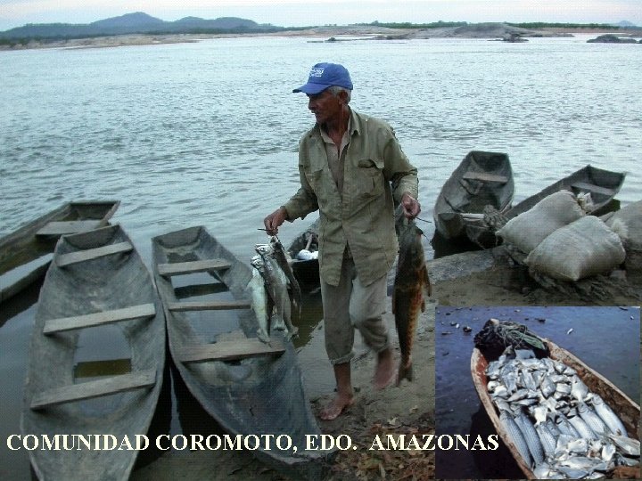 COMUNIDAD COROMOTO, EDO. AMAZONAS 