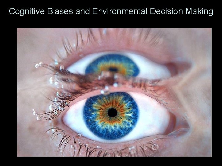 Cognitive Biases and Environmental Decision Making 