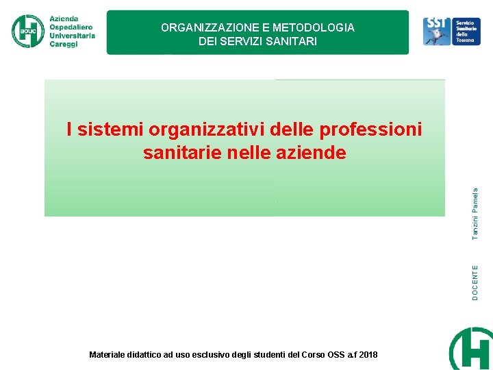 ORGANIZZAZIONE E METODOLOGIA DEI SERVIZI SANITARI DOCENTE Tanzini Pamela I sistemi organizzativi delle professioni ORGANIZZAZIONE E METODOLOGIA DEI SERVIZI SANITARI DOCENTE Tanzini Pamela I sistemi organizzativi delle professioni